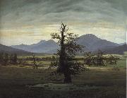 Caspar David Friedrich The Solitary Tree china oil painting reproduction